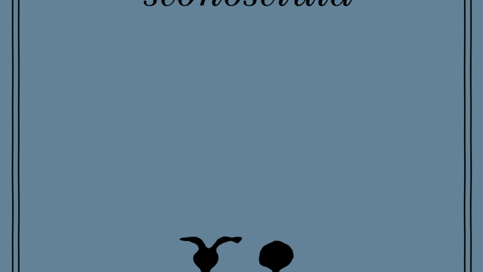 lettera di una sconosciuta